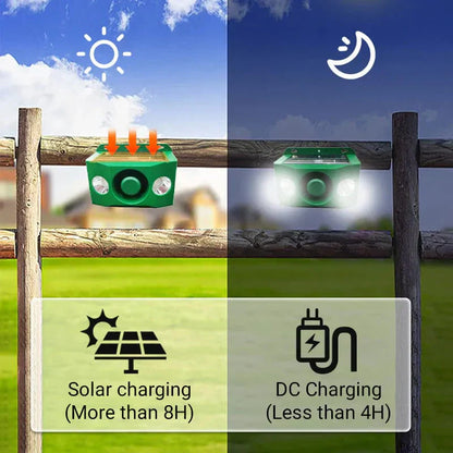 Solar Predator Deterrent Lights – Buy 1 Get 1 Free | High-Intensity Night Protection