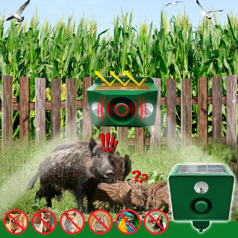 Solar Predator Deterrent Lights – Buy 1 Get 1 Free | High-Intensity Night Protection