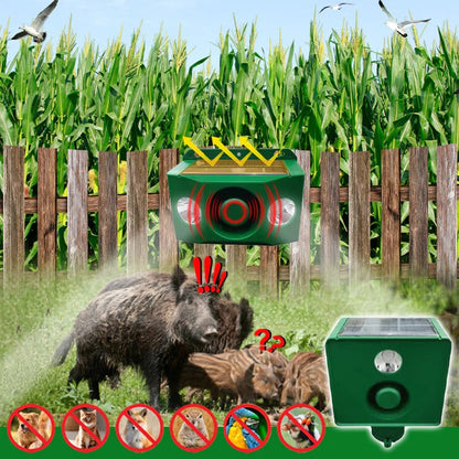 Solar Predator Deterrent Lights – Buy 1 Get 1 Free | High-Intensity Night Protection